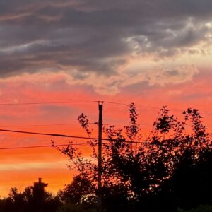 IMG_1690 a sunset is intercepted by man-made objects overgrown by natural growth