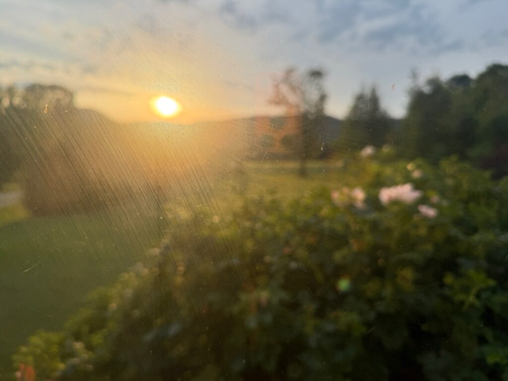 IMG_2104 Sunrise over rosehip bushes with camera focus entirely on window